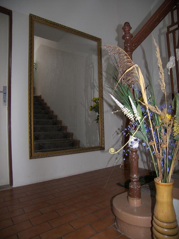 Mariánské Lázně Penzion U Antonickova Pramene מראה חיצוני תמונה